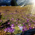 Bed & Breakfast Danielka Zakopane