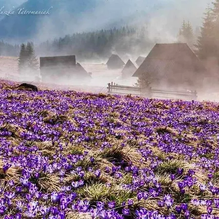 Danielka 3* Zakopane