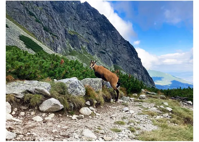 Bed & Breakfast Danielka 3*