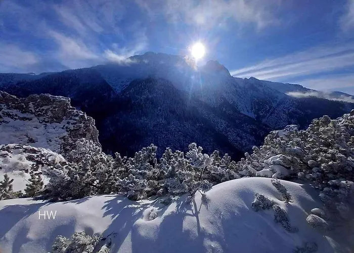 Bed & Breakfast Danielka 3*