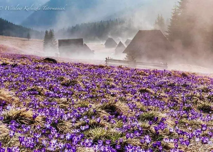 Danielka 3* Zakopane